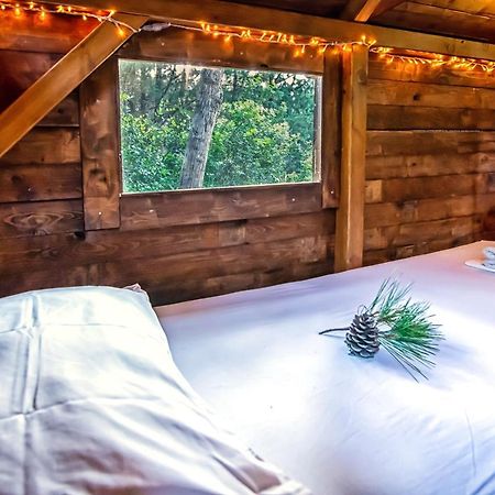 Theológos Drolma Ling Nature Cabins מראה חיצוני תמונה