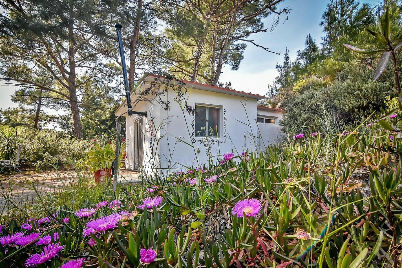 Theológos Drolma Ling Nature Cabins מראה חיצוני תמונה