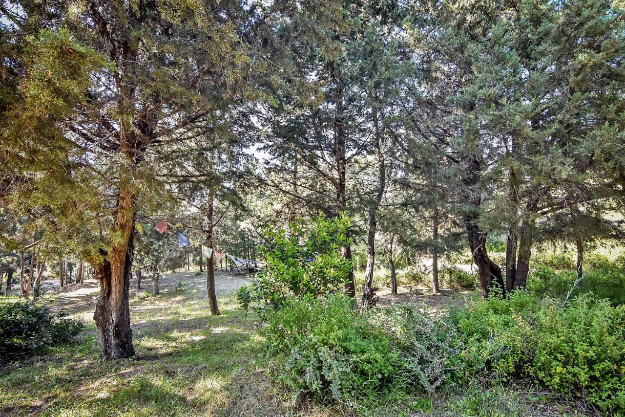Theológos Drolma Ling Nature Cabins מראה חיצוני תמונה