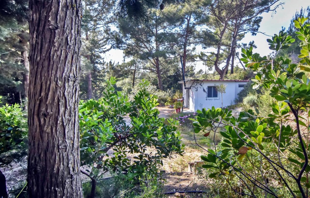 Theológos Drolma Ling Nature Cabins מראה חיצוני תמונה
