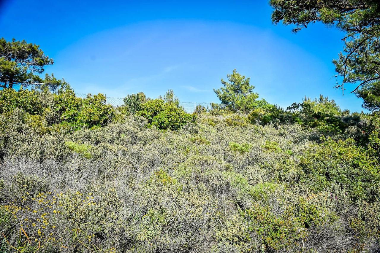Theológos Drolma Ling Nature Cabins מראה חיצוני תמונה