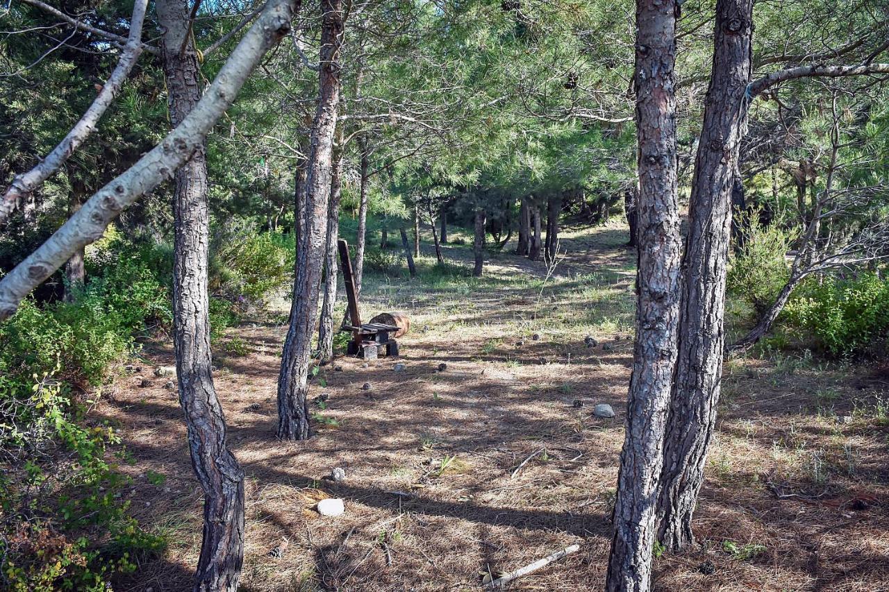 Theológos Drolma Ling Nature Cabins מראה חיצוני תמונה