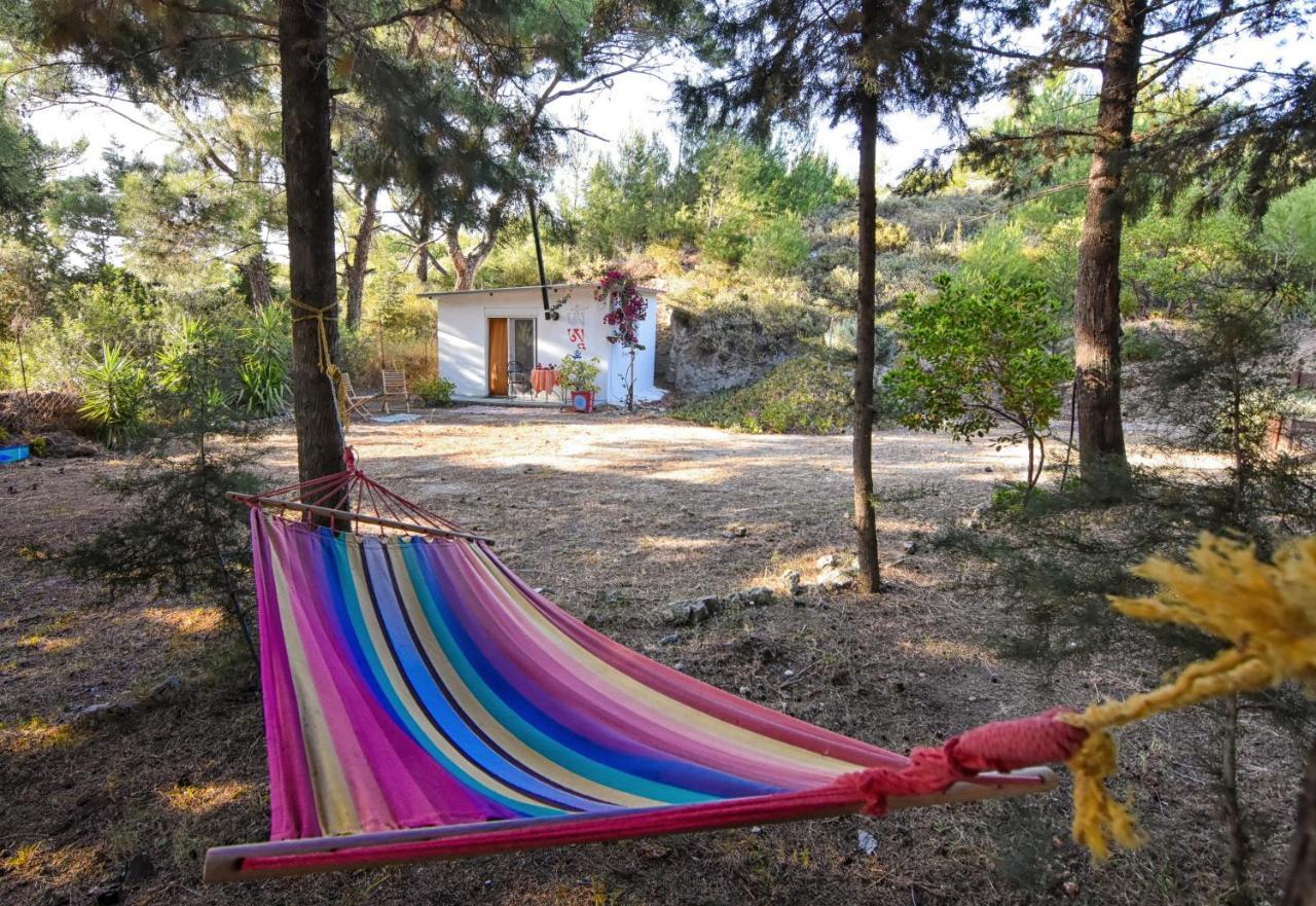 Theológos Drolma Ling Nature Cabins מראה חיצוני תמונה