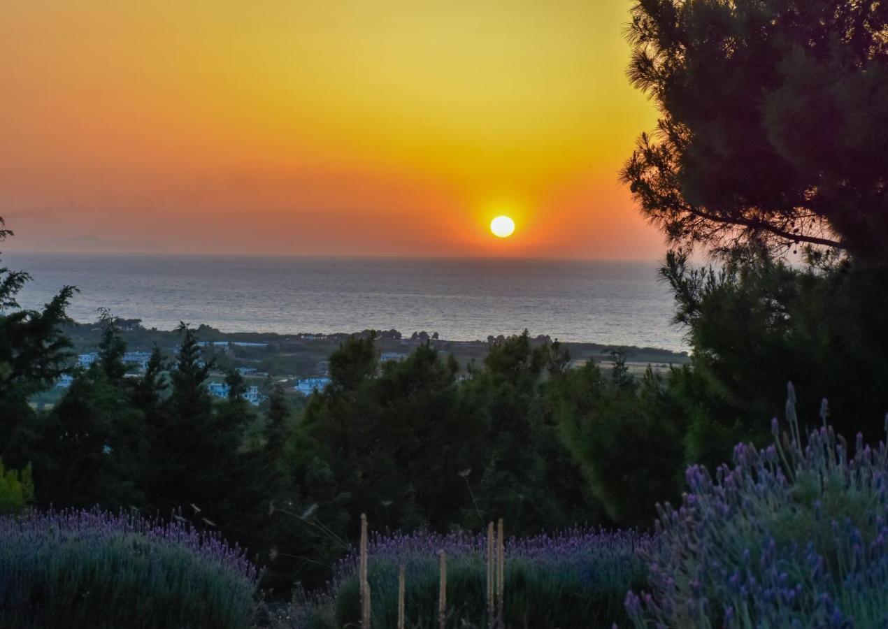 Theológos Drolma Ling Nature Cabins מראה חיצוני תמונה