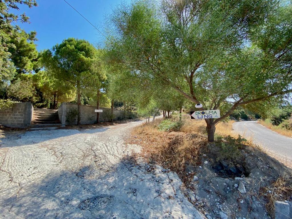 Theológos Drolma Ling Nature Cabins מראה חיצוני תמונה