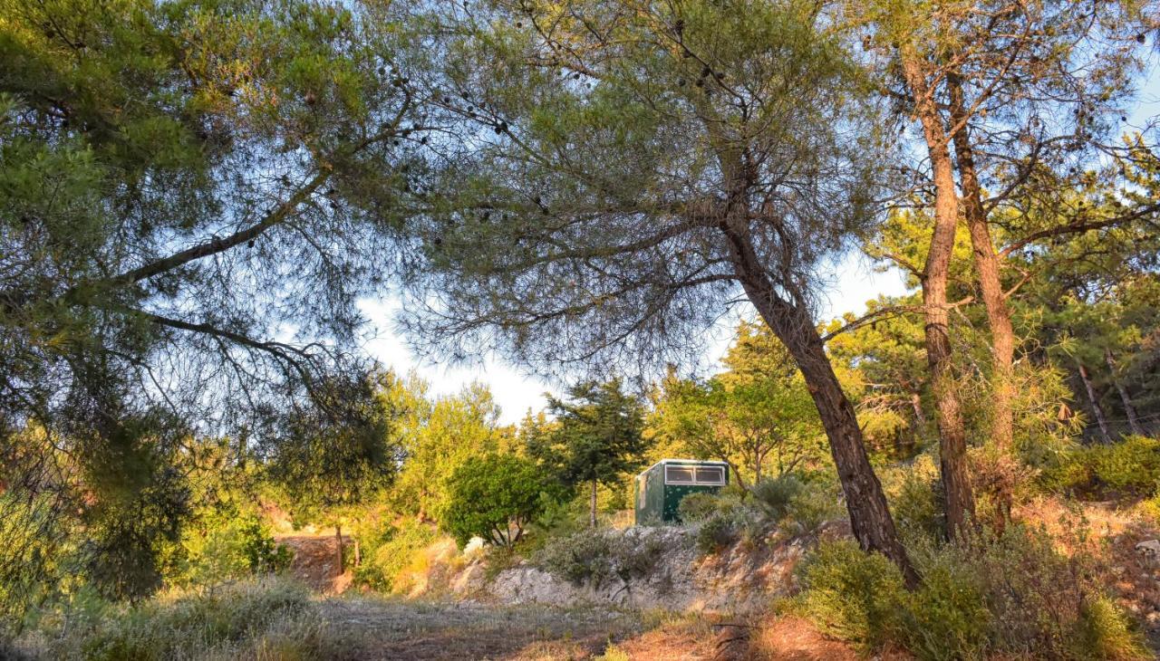 Theológos Drolma Ling Nature Cabins מראה חיצוני תמונה