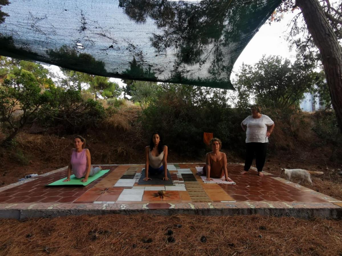 Theológos Drolma Ling Nature Cabins מראה חיצוני תמונה