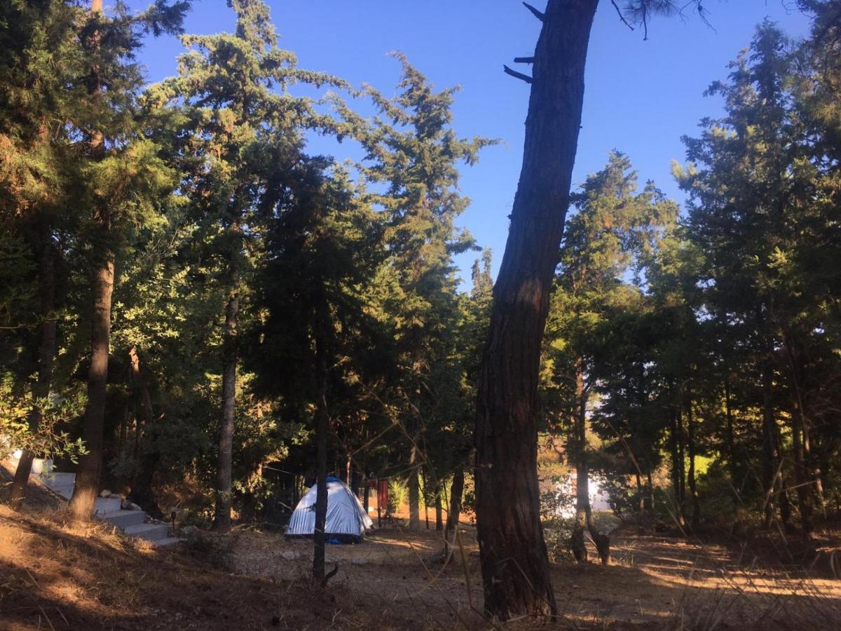 Theológos Drolma Ling Nature Cabins מראה חיצוני תמונה