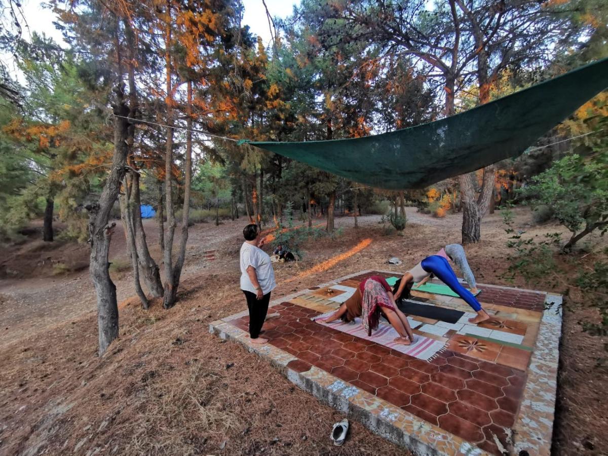 Theológos Drolma Ling Nature Cabins מראה חיצוני תמונה