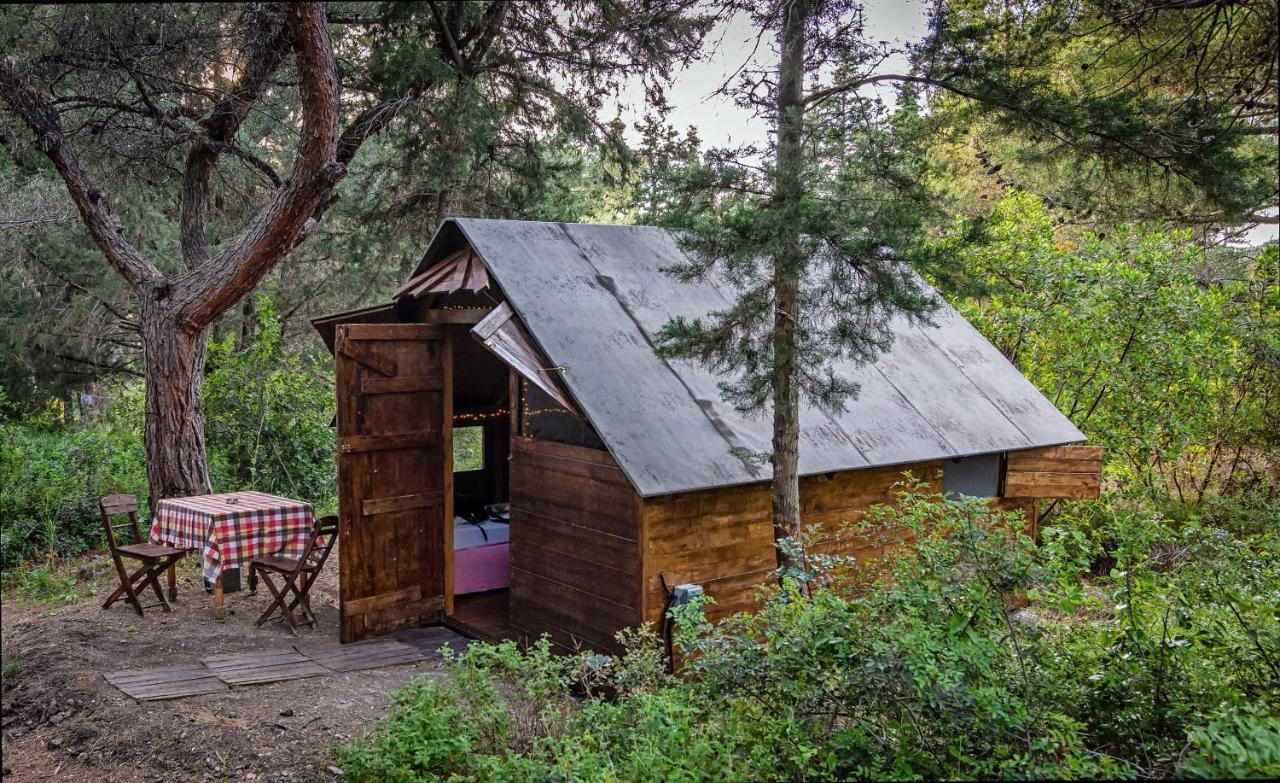 Theológos Drolma Ling Nature Cabins מראה חיצוני תמונה