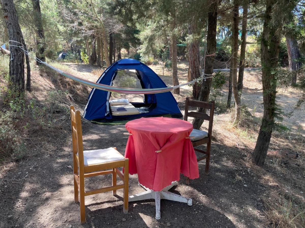 Theológos Drolma Ling Nature Cabins מראה חיצוני תמונה