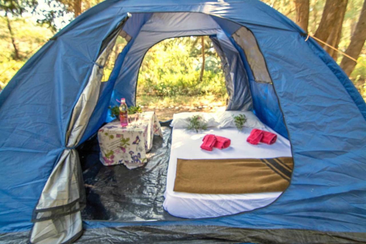 Theológos Drolma Ling Nature Cabins מראה חיצוני תמונה