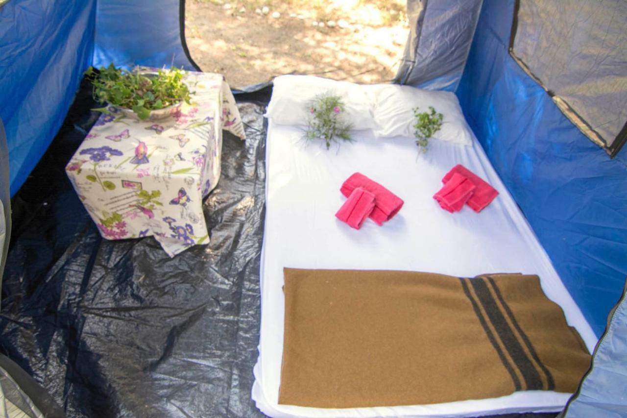 Theológos Drolma Ling Nature Cabins מראה חיצוני תמונה