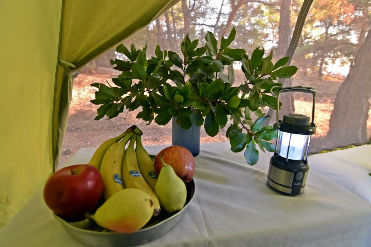 Theológos Drolma Ling Nature Cabins מראה חיצוני תמונה